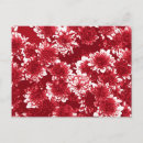 Recherche de dahlia rouge cartes postales Dahlias