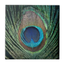 Recherche de plume de paon carreaux Coloré