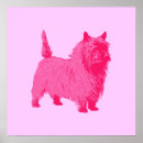 Recherche de cairn posters Chien