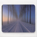 Recherche de matin brumeux Neige
