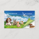 Recherche de aliment pour animaux familiers cartes visite Chat