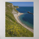 Recherche de jurassique posters Dorset