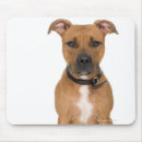 Recherche de studio tapis souris Assis