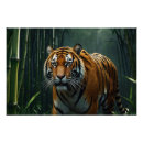 Recherche de chat du bengale posters Gros chats