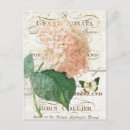 Recherche de botanique cartes postales Typographie