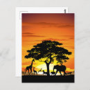 Recherche de animal sauvage posters Afrique