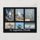 Recherche de héron blanc cartes postales Grand