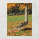 Recherche de banc de parc cartes postales Chute
