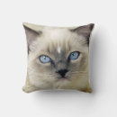 Recherche de ragdoll coussins Animal de compagnie
