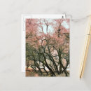 Recherche de se givrer cartes postales Arbre