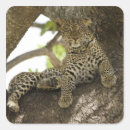 Recherche de tacheté autocollants Arbre