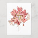 Recherche de samuel cartes postales Vintage