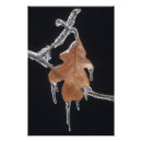 Recherche de macro posters Environnement