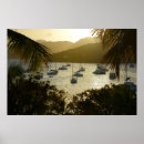Recherche de danita delimont posters British virgin islands