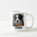 Recherche de australienne de berger tasses Australiens