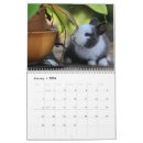 Recherche de lapin calendriers Lièvres