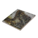 Recherche de coyoacan carreaux Magdalena carmen