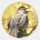 Recherche de chat jaune autocollants Faune