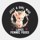 Recherche de fennecs cadeau emballages Renard