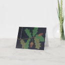 Recherche de glands de chêne cartes postales Botanique