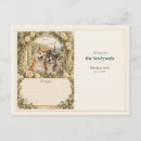 Recherche de akitas cartes postales Pour tous