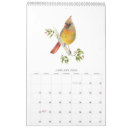 Recherche de oiseau calendriers Colombe