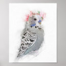 Recherche de oiseaux colorés posters Adorable