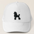 Recherche de caniche casquettes Chiens