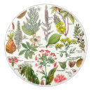 Recherche de légumes boutons et poignées de porte Ferme