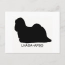 Recherche de lhasa cartes postales Animal