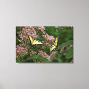 Recherche de machaon de tigre art Fleurs