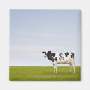 Recherche de vache holstein magnets Horizontal