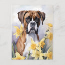 Recherche de chien boxeur cartes postales Fleurs