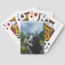 Recherche de eagle jeux de cartes Faune