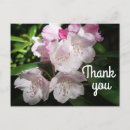 Recherche de arbre sakura vœux cartes Fleur de cerisier