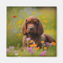 Recherche de de cocker refrigérateur magnets Fleurs
