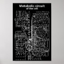 Recherche de circuit posters Science