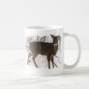Recherche de cerfs communs de queue tasses Animaux