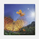 Recherche de papillon blanc magnets Floral