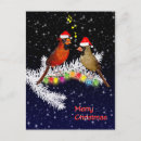 Recherche de oiseaux neige cartes postales Festif
