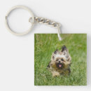 Recherche de terrier yorkshire porteclés Dog