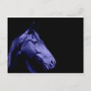 Recherche de chevaux bleus cartes postales Équestre