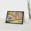 Recherche de renard anniversaire cartes Animal