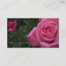 Recherche de buisson cartes visite Rose