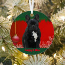 Recherche de bouledogue francais ornements Bouledogues