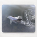Recherche de dauphin mignon tapis souris Eau