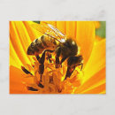 Recherche de abeille fleur cartes postales Floral
