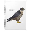 Recherche de faucons carnets Oiseau de proie