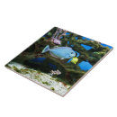 Recherche de vie aquatique carreaux Mer
