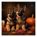 Recherche de chiot berger allemand posters Automne